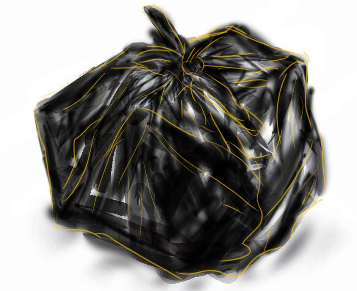 燃えないゴミの日